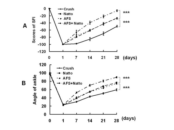Figure 1. Neurobehavioral evaluation. A representative illustration of SFI (A) and angle of ankle (B) in the four treatment groups is shown. *** p < 0.001, n = 6.