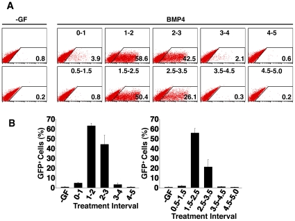 Figure 1. Mesendoderm inducing activity of BMP4 is restricted to a specific temporal window during ESC differentiation.(A) Flow cytometric analysis of d5 Mixl1 GFP/w ESCs differentiated in cultures supplemented with 10 ng/ml BMP4 for 24 h with the time of initial growth factor addition to the culture staggered at daily intervals starting at d0 (upper panels) or day 0.5 (lower panels). The proportion of GFP+ cells in this experiment is shown in the lower right of each plot. Flow cytometry profiles from no growth factor (-GF) control cultures are shown to the left of each series. (B) Histograms summarising flow cytometry data from three independent experiments, showing the average percentage of GFP+ cells at d5 observed for each period of BMP4 addition. (mean±sd, n = 3).