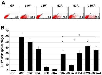 Figure 6. Wnt3a and Activin A synergise to induce GFP in Mixl1 GFP/w EBs.(A) Flow cytometry analysis at d5 of a representative experiment of Mixl1 GFP/w ESCs differentiated in cultures supplemented with 100 ng/ml Wnt3a (W) and/or 100 ng/ml Activin A (A) from the time indicated. The no growth factor (-GF) control is shown to the left. (B) Histogram summarising the d5 flow cytometry data from Mixl1 GFP/w ESCs differentiated in cultures supplemented with the indicated growth factors from the time indicated. (mean±sd, n = 3) (* p<0.05 compared to d3A). B; BMP4, W; Wnt3a, A; Activin A.