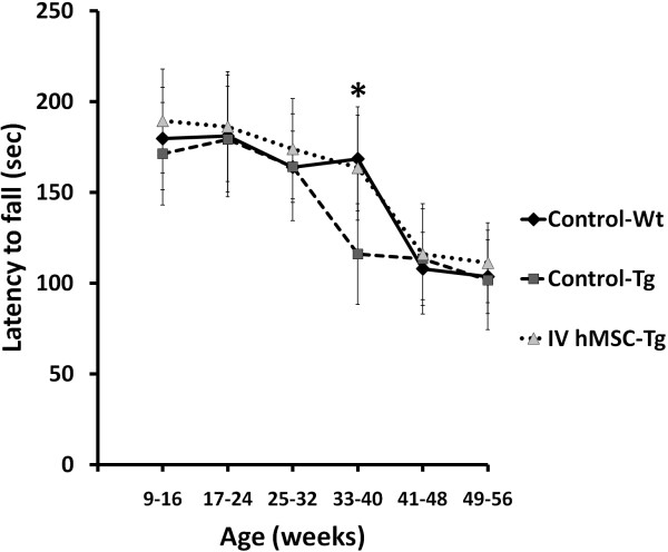 Figure 4. Average of rotarod performance of mouse which received intravenous human mesenchymal stem cells transplantation at sequential periods. Average of latency to fall from rotarod (in seconds) of mice after serial hMSCs implantation through intravenous injection was compared every 8 weeks. Rotarod performance of SCA2 transgenic mice (n = 14) was significantly improved at 33-40 weeks of age by serial intravenous hMSCs transplantation (*p = 0.012). The numbers of mice in Control-Wt and Control-Tg were 16 and 10, respectively. Statistical analysis between each group was performed by one-way ANOVA (p = 0.012).