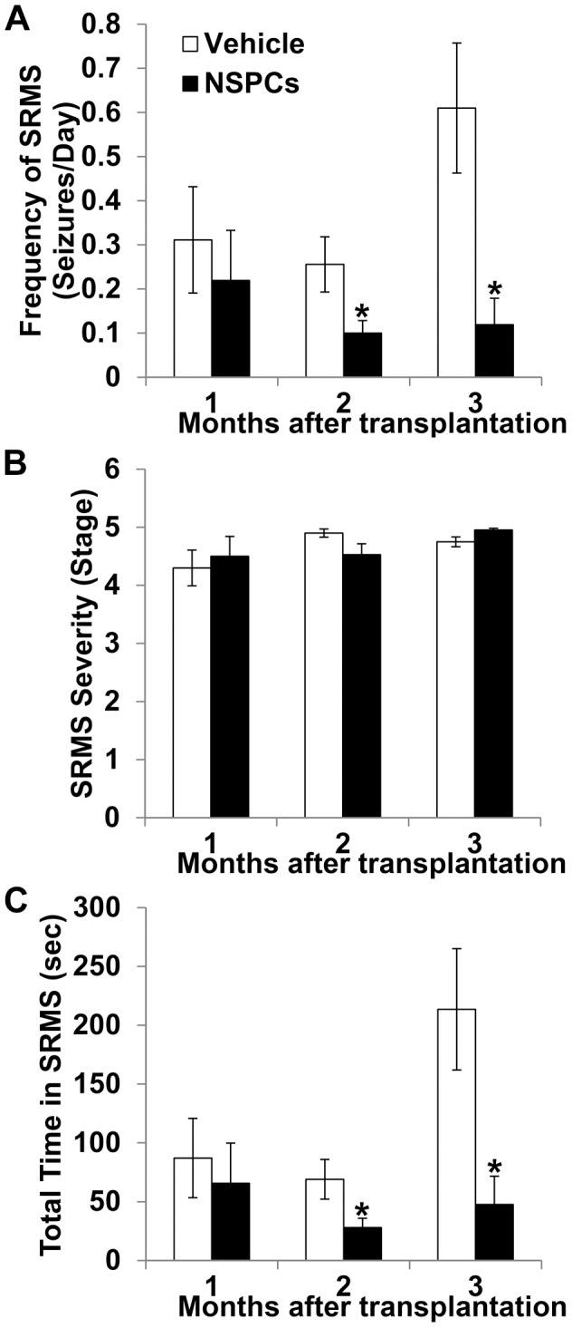Figure 8. Effect of human NSPC grafting on spontaneous recurrent motor seizures (SRMSs) in pilocarpine-treated rats.The mean seizure frequencies (A), seizure stages (B) and total time spent in seizures (C) were calculated during 1, 2, and 3 months following transplantation in vehicle-injected and NSPC-transplanted groups. * Significantly different from the vehicle-injected group at P<0.05; error bars indicate ±SEM.