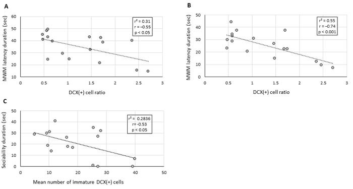 Figure 4. Deficits in cognitive and social behaviour correlate with hippocampal neurogenesis impairmentLinear regression graphs depicting DCX(+) cell ratio between mature and immature DCX(+) neurons in the granular cell layer of the DG and the latency duration obtained by the same animals on day 4 and 5 of the MWM assay, (A and B), respectively. (C) Linear regression graph depicting the average number of immature DCX(+) neurons in the granular cell layer and sociability duration of the same animals in the social interaction assay. The relationship between the variables was assessed by the Pearson's correlation coefficient.
